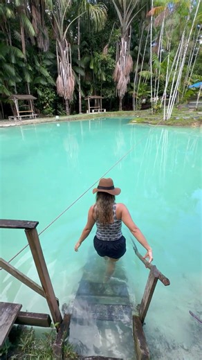 Beautiful Place in the Amazon Forest