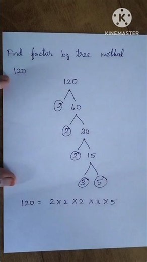 Factor Tree Of 120 / Factors and Multiples / Maths
