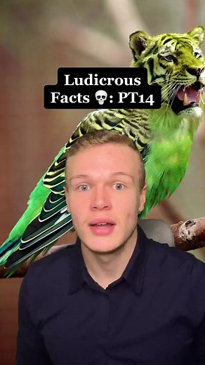 Ludicrous Facts 💀: PT14 | Homework Help Global