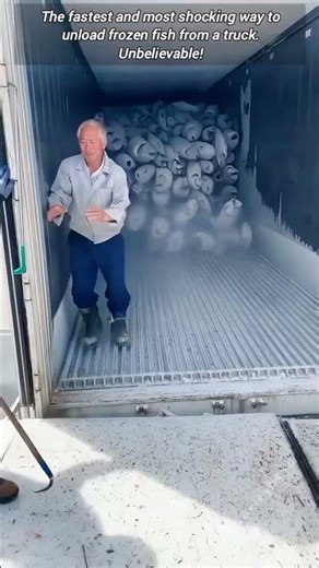 Unloading Frozen Fish Task