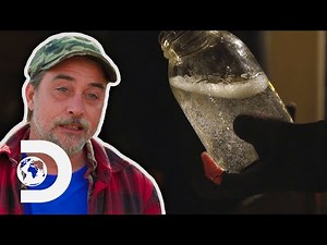 Moonshiners Make 150 Gallons Of Single Malt Tennessee Moonshine I Moonshiners