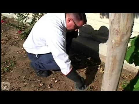 Pest Control Center Exterminators in Sacramento