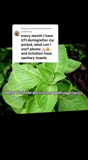 Understanding Recurring Thrush and Its Causes