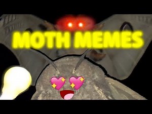 BEST Moth Memes COMPILATION