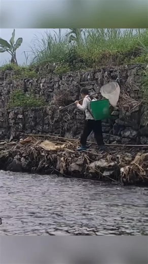 Catch Giant Fish in a Puddle with Bare Hands