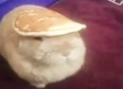 WHY YOU SHOULD HAVE A BUNNIES (@whyyoushould65) on X