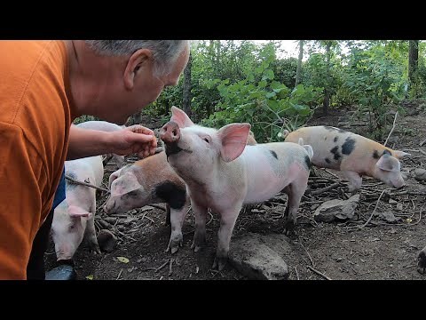 This Is What Makes Farming Interesting!