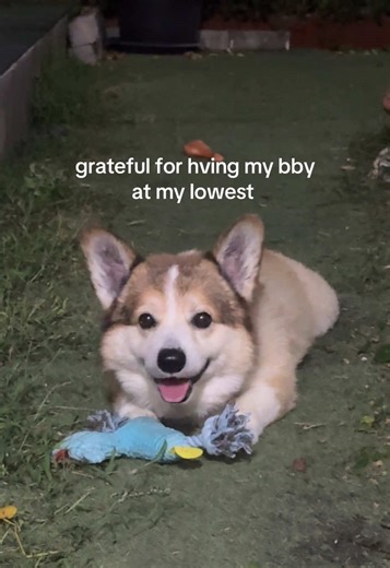 🐶❤️ #dog #love