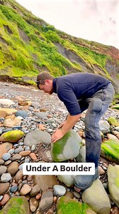2.7M views · 10K reactions | We found this rock beneath a boulder! ️...
