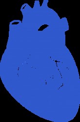 Cardiovascular Emergencies - Emergency Medicine Core Training