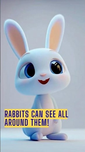 Amazing rabbit fact! Rabbits can see all around them! #kidslearning #kidsvideos #animalfactsforkids