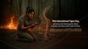 865K views · 1K reactions | He’s seen trees burn and storms rage. And he’s seen her— the one who came back every time. She left her world for mine.  Watch Rajah tell a story of sacrifice. #InternationalTigersDay #KeepersOfTheWild #TigerBalm #ToughAsATiger #TigerBalmInternational #LessonsFromPain #RoarThroughThePain | Tiger Balm India | Facebook