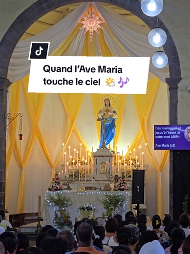 Un moment de prière, de paix et de recueillement 🌹⛪️🕊 #liturgie #avemaria #momentdepaix #grace #foi