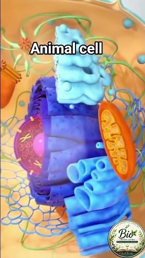 Animal Cell Explained in 60 Seconds 🧬 | Cell Organelles and Their Functions