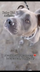 2.8K views · 47 reactions | BABY GIRL (1183604) 1 1/2 years old, 59...