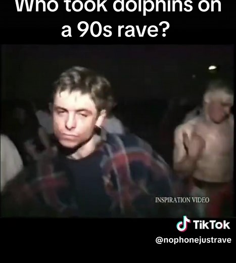 Discovering 90s Rave Culture and Dolphins' Impact