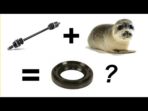 Honda Axle Seal: Everything you always wanted to know but were afraid to ask!