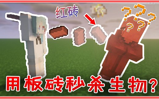 所有物品都能投掷？远程攻击新方法！扔砖头秒末影龙！【我的世界】