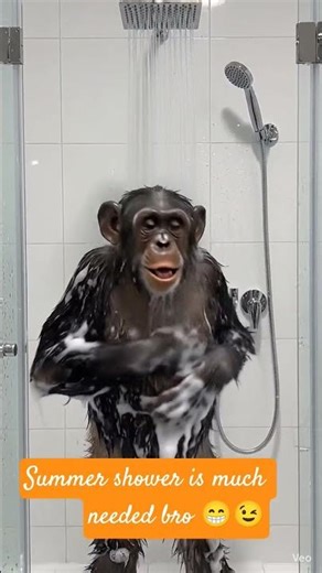 Summer shower types u need to know...!!!#monkeyshower #ytreel