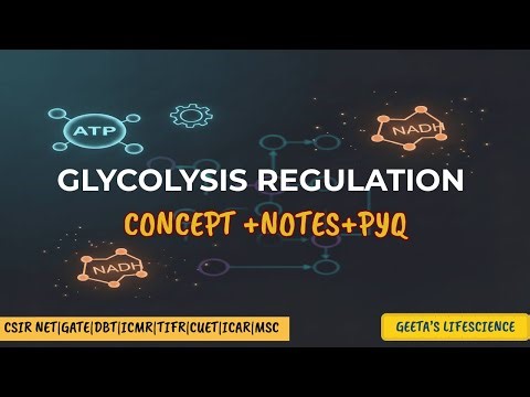 Regulation of Glycolysis Explained Clearly | CSIR NET • GATE • DBT • CUET PG • BARC