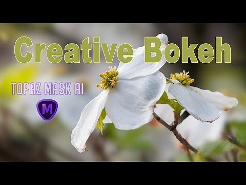CREATIVE BOKEH: TOPAZ MASK AI