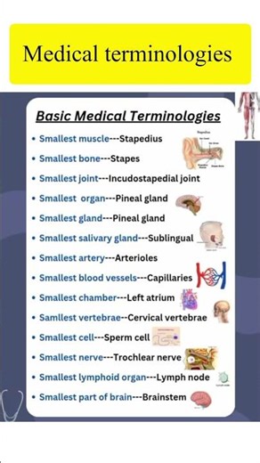 Basic medical terminologies | medical knowledge for students | motivation #medical