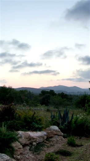 Sun setting over a garden #shortsfeed
