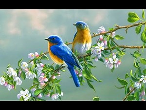 Les animaux du printemps