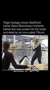 Tragic footage shows SeaWorld trainer Dawn Brancheau moments before she was pulled into the water by an orca called Tilikum. Dawn was thrashed for 45 minutes while the crowd watched helplessly. | Historyinmemes