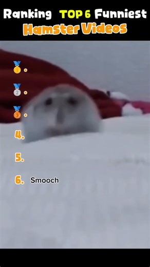 Ranking TOP 6 Funniest Hamster Videos (Wait for 1#) #funny #animals #hamster #shorts