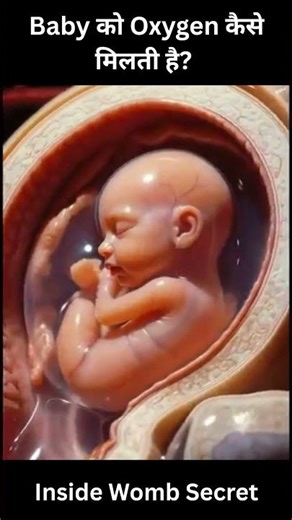 Baby को Oxygen कैसे मिलती है? 🤰 | Inside Womb Secret #doctordost #facts #shaorts