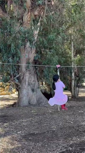 Mini zipline for kids