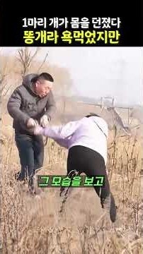 돌에 깔릴 뻔한 여자, 몸 던져 구한 개 | 은혜를 원수로 갚았더니 벌어진 일 #강아지 #반려견 #유기견