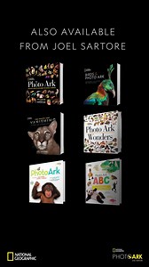 1.8K views · 343 reactions | Looking to grow your collection of Photo Ark books? My newest release, Photo Ark Insects, is available now! Click the link to get your signed copy today. #book #insects #new #bookrelease #newbook #signedcopy #PhotoArk https://bit.ly/Insects_PA | Joel Sartore, Photographer | Facebook