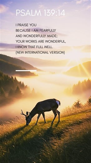 Psalm 139:14 (NIV Bible Reading) #bibleaudio #biblereading #psalms