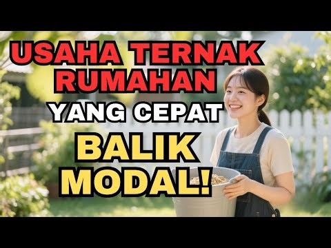 Ide Bisnis Ternak Rumahan Omset Jutaan, yang Cocok untuk Pemula!