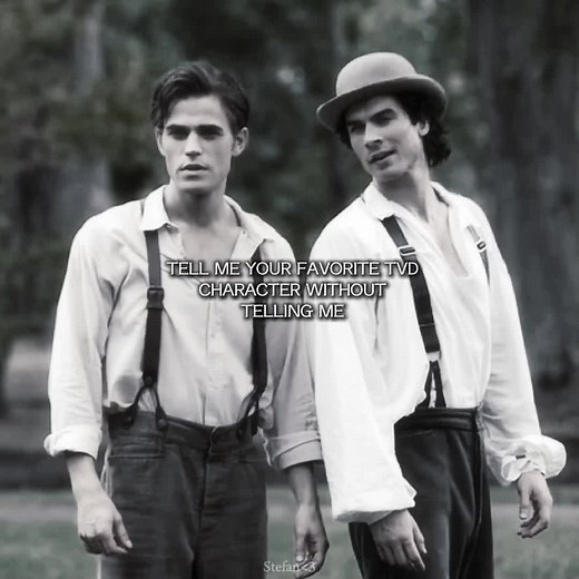 TVD Character Moments: Stefan and Damon Highlights