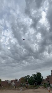 Morning game | Amritsar Kite Flying Club