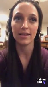 10M views · 3.1K reactions | Laura looked after a stranger’s chained up dog for an entire year, feeding her and fighting for her freedom every day until she won.  | WKYC Channel 3 - Cleveland | Facebook