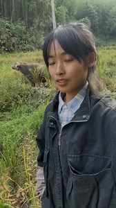 20K views · 2.4K reactions | Countryside Life #countrygirl #mountains #fbreels #photo #naturelovers | Natural Life | Facebook