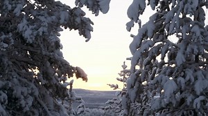 The iconic Treehotel 🌲 Escape to the woods for a weekend at the unique treehouse’s, and tick a night in the sky off the bucket list! ❄️ #treehotel #sleepinthetrees #granddesigns #uniquestays Video Credit : Treehotel / Swedish Lapland | Nordic Experience