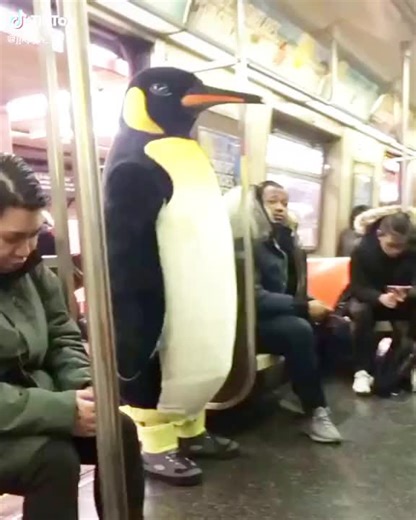 Libby Smith (@libby652)’s videos with original sound - Libby Smith