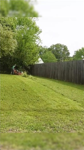 Mowing & Lawn Border Edging Never Look This Amazing 🍃 #shorts #satisfying #asmr