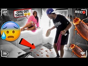 COCKROACH PRANK ON GIRLFRIEND (HILARIOUS)