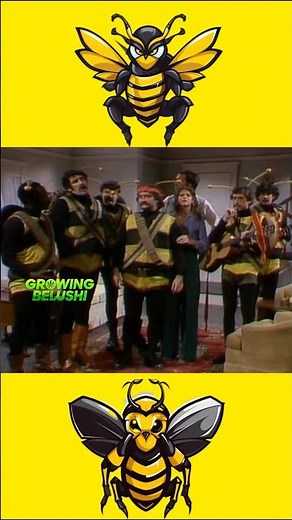 🎬💥 Time Killer Bees walked off set (SNL) #snl #johnbelushi #bluesbrothers #danaykroyd #comedylegends