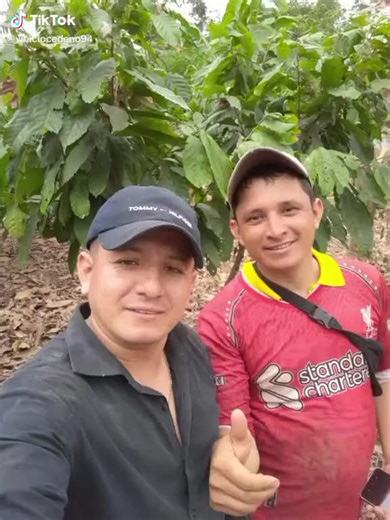 Videos de cedeño (@viniciocede) con “sonido original - cedeño”