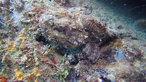 Explore - Sand Castle On The Beach