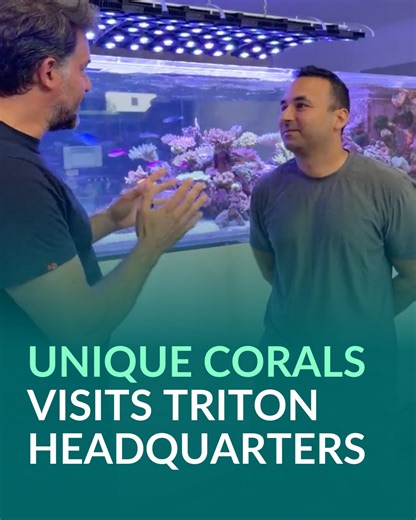 🪸🐠 This clip is from our visit with Joe and Toni from Unique Corals here at the TRITON headquarters in Cairns, Australia. Together we took a closer look at the 6-month-old show tank, the Coral Sea live rock, and the ICP lab that helps us match real reef habitats as closely as possible. From simple algae filtration to habitat-based lighting, Ehsan explains why the TRITON Method focuses on stability, science and long-term coral health rather than shortcuts. Watch the full video to see the tank i
