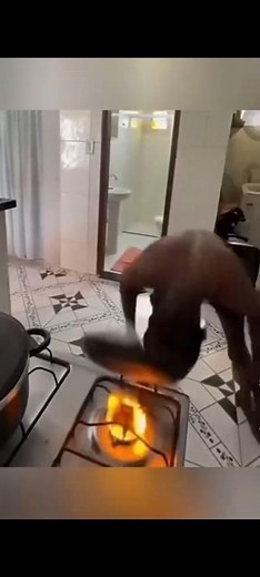 🤣 Funny Reactions #1 – Hilarious Moments You Have to See! | 3MonkeysX