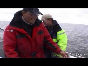 Heilbutts auf Ansage - Unterwegs in Norwegen